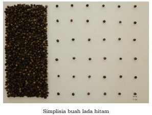 gambar simplisia di halaman detail
