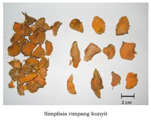 gambar simplisia di halaman detail