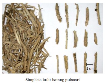 gambar simplisia di halaman detail