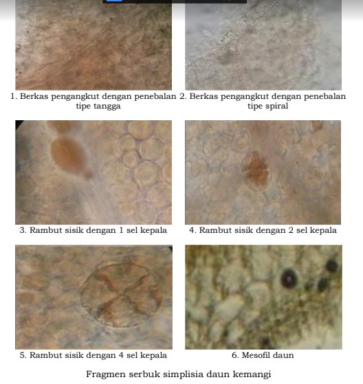 gambar pemerian di halaman detail