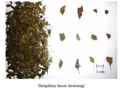 gambar tanaman banyak di halaman detail