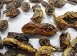 gambar simplisia di halaman detail