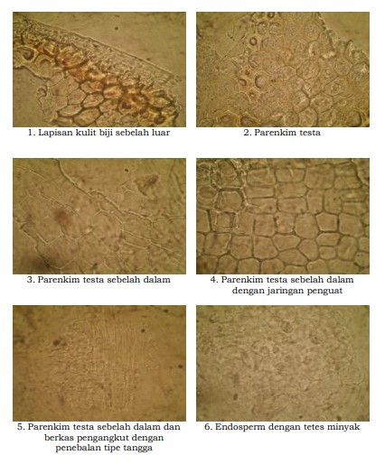 gambar pemerian di halaman detail