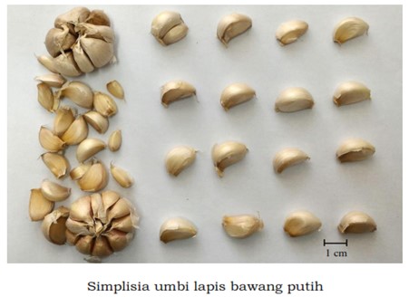 gambar tanaman banyak di halaman detail