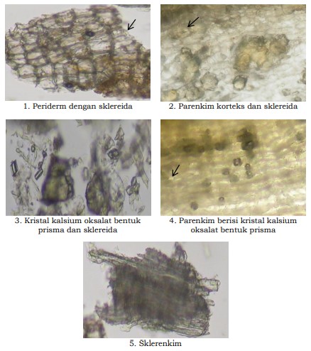 gambar pemerian di halaman detail