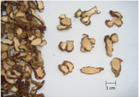 gambar simplisia di halaman detail